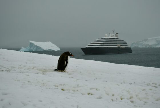 Optimizing crew changes for an expedition cruise line